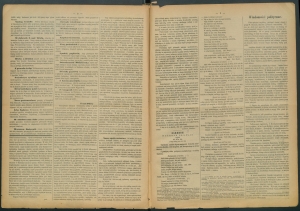 gazeta radomska-1885-23-00002